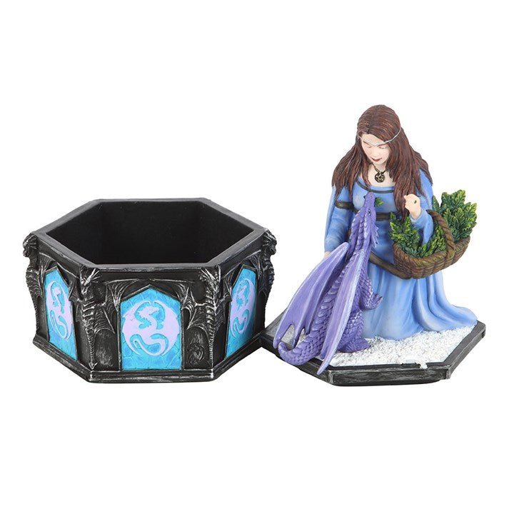 Anne Stokes Dragon Friendship Winter Box