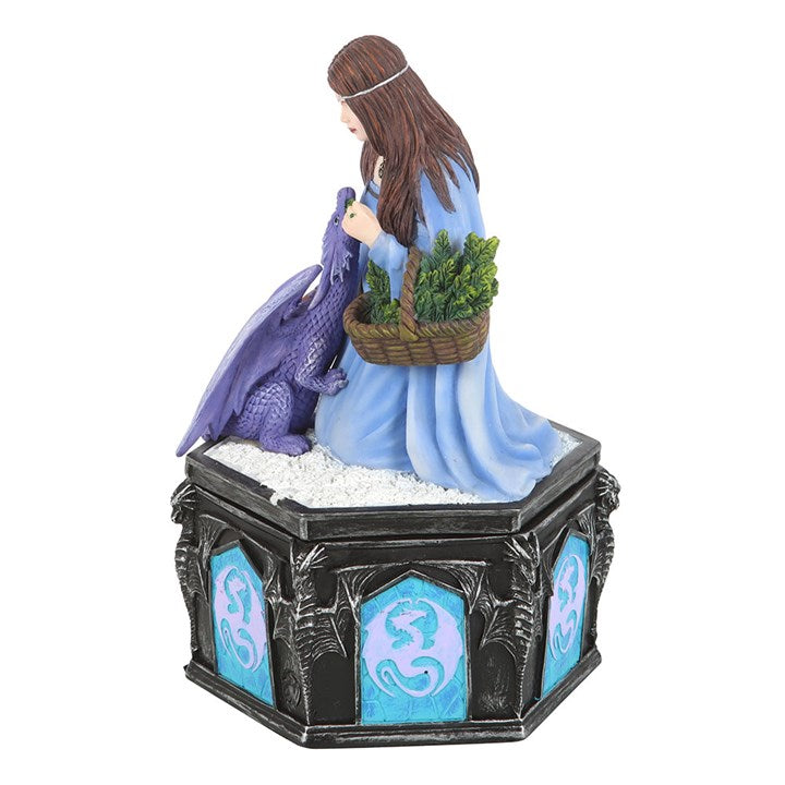 Anne Stokes Dragon Friendship Winter Box