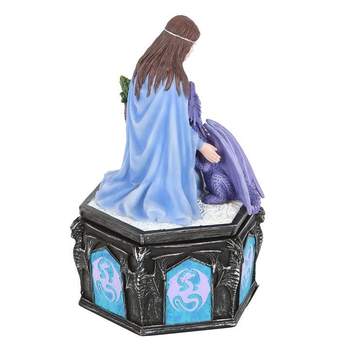 Anne Stokes Dragon Friendship Winter Box