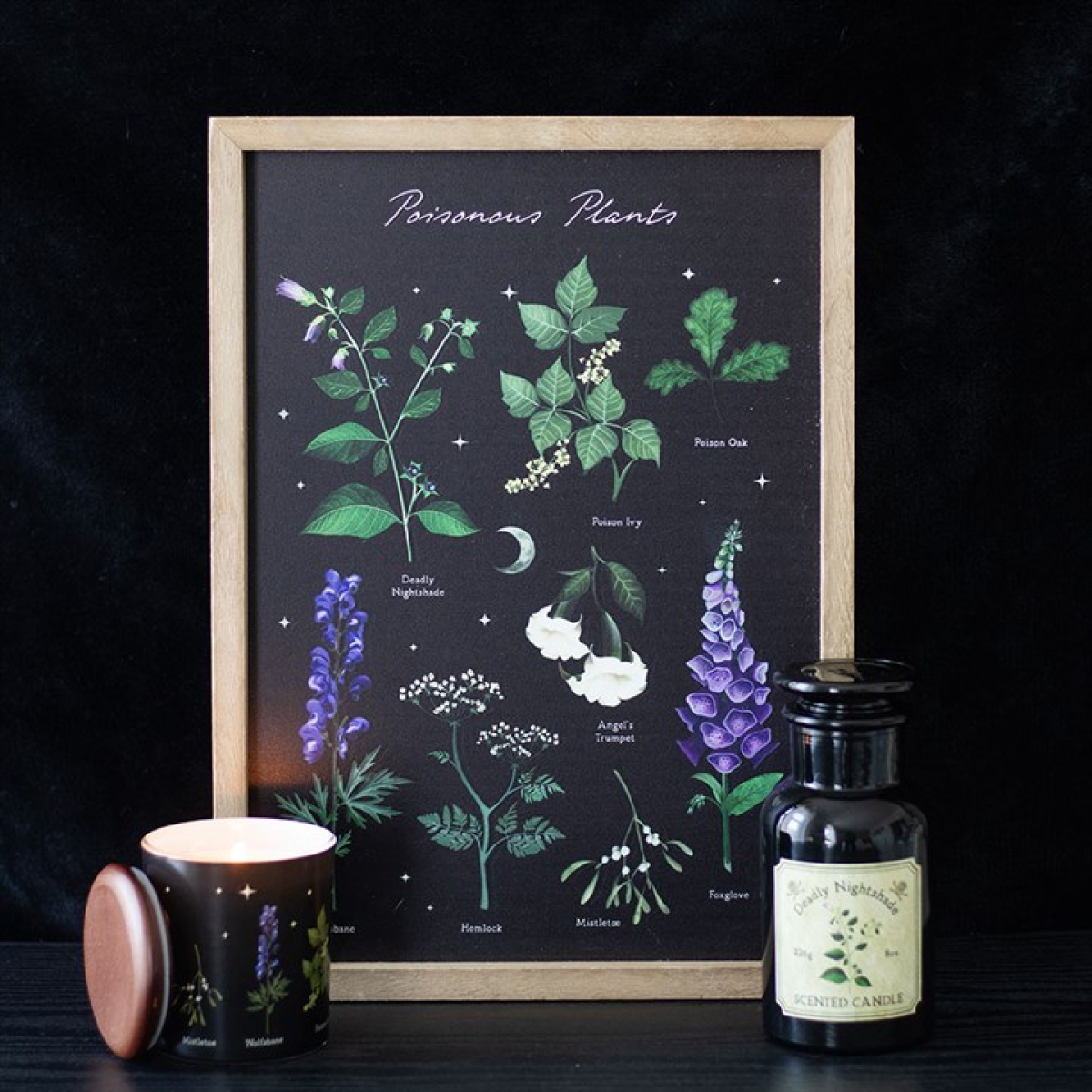 Poisonous Plants Framed Wall Art Print